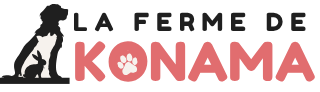 Médiation assistée par l'animal
