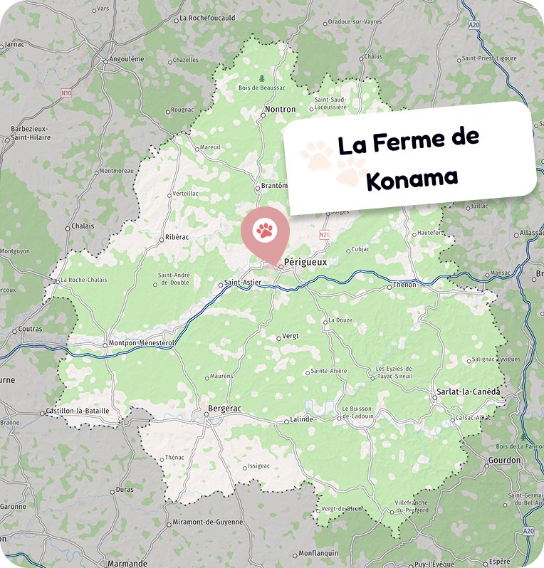 Intervention partout en dordogne